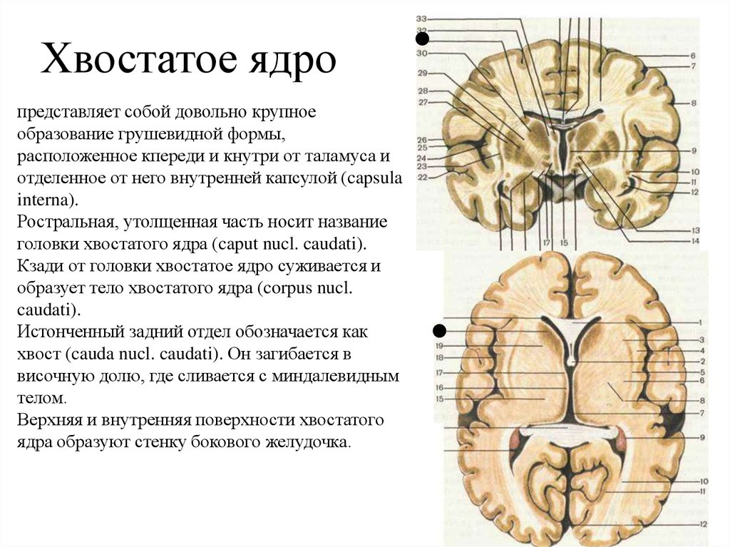 Ядро графической системы это