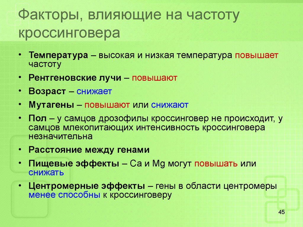 Биологический смысл кроссинговера. Факторы влияющие на кроссинговер. Факторы влияющие на частоту кроссинговера. Факторы влияния на кроссинговер. Факторы влияющие на кроссинговер генетика.