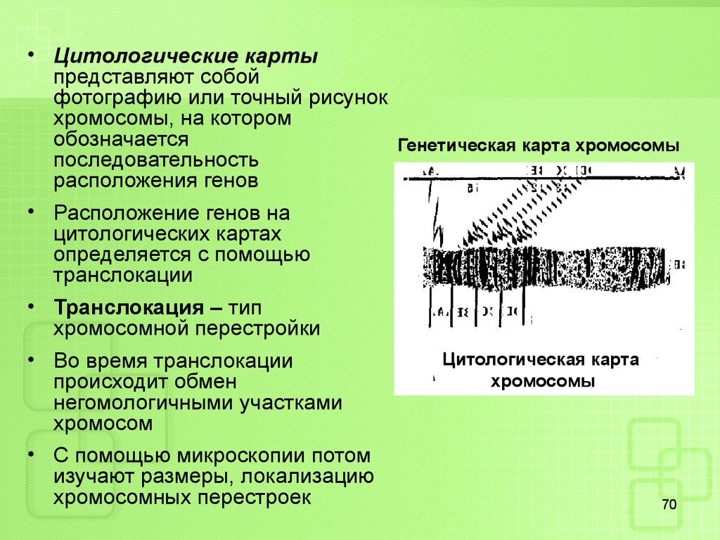 Карта хромосом это