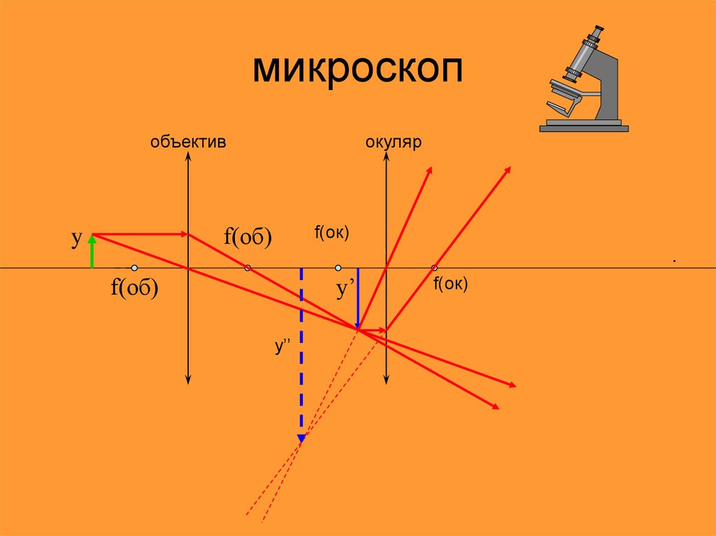 Объектив микроскопа дает изображение