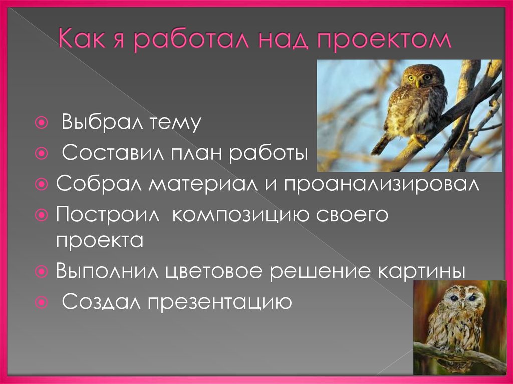 Как я работал над проектом