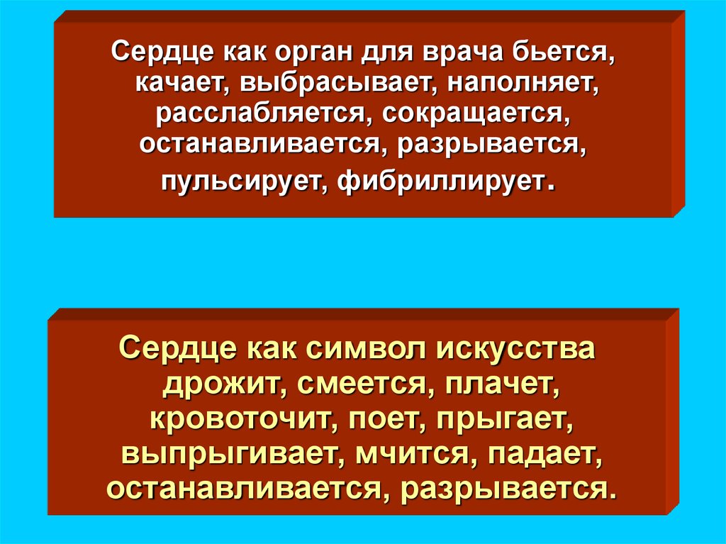 Пальпация сердца презентация