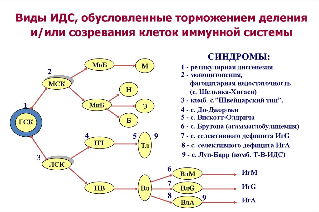 Иммунодефицитные состояния схема