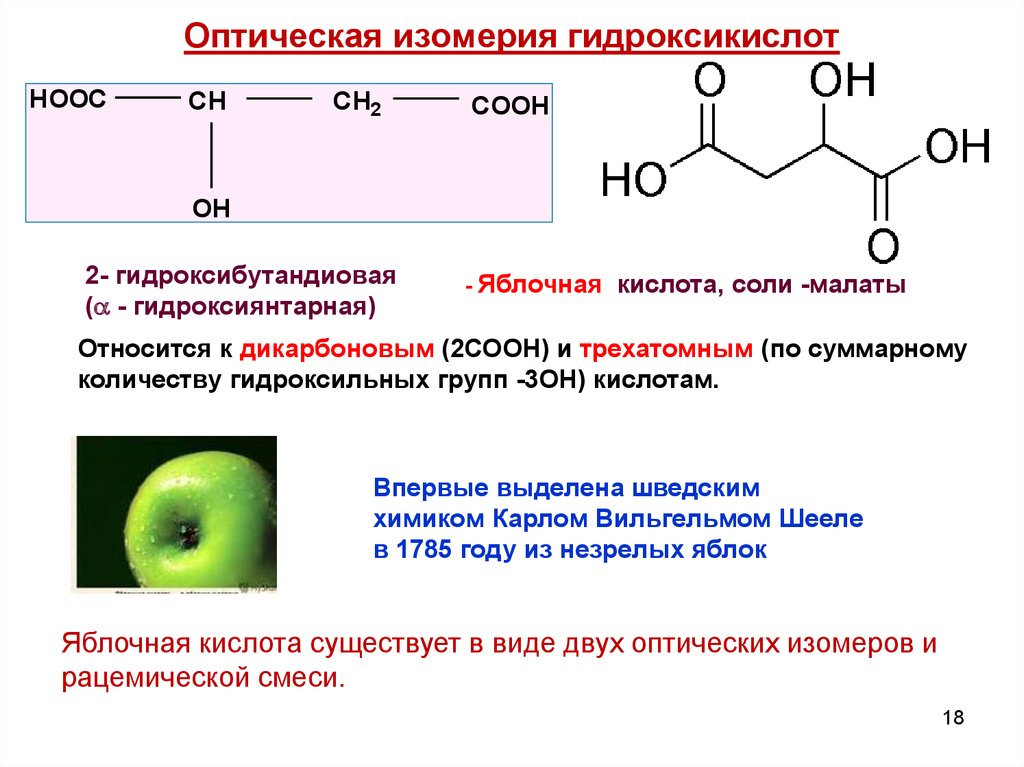 Группа соон является