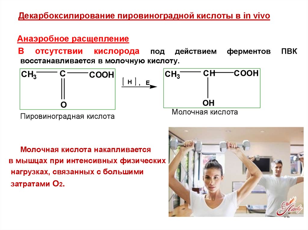 Пировиноградная кислота процессы. Молочная кислота и пировиноградная кислота. Распад пировиноградной кислоты. ПВК молочная кислота. Превращение пировиноградной кислоты в молочную.