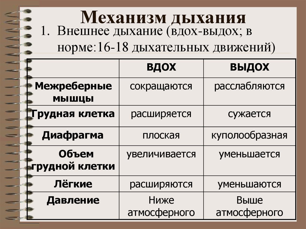 Дыхание таблица 8 класс биология. Механизм вдоха и выдоха таблица. Механизм дыхания. Механизм дыхательных движений. Дыхательные движения таблица.