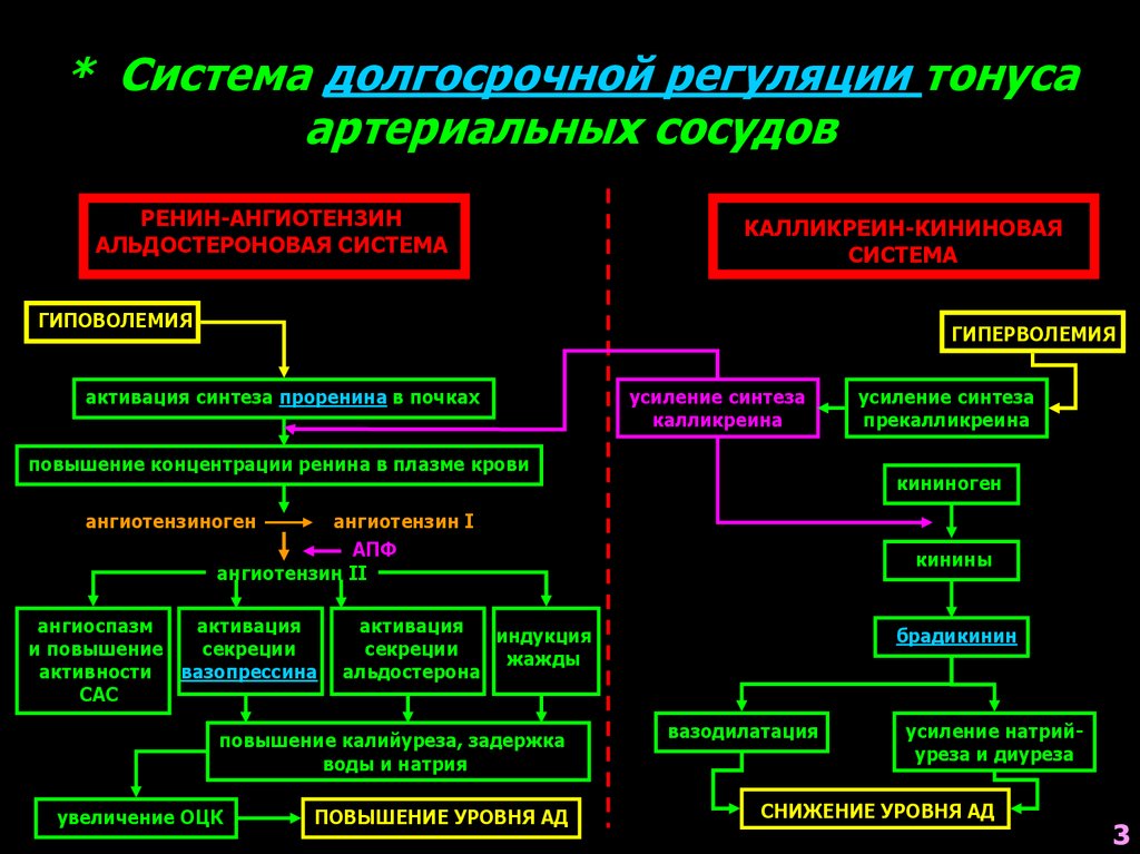 Виды сосудистого тонуса