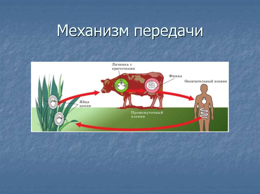 Механизм передачи