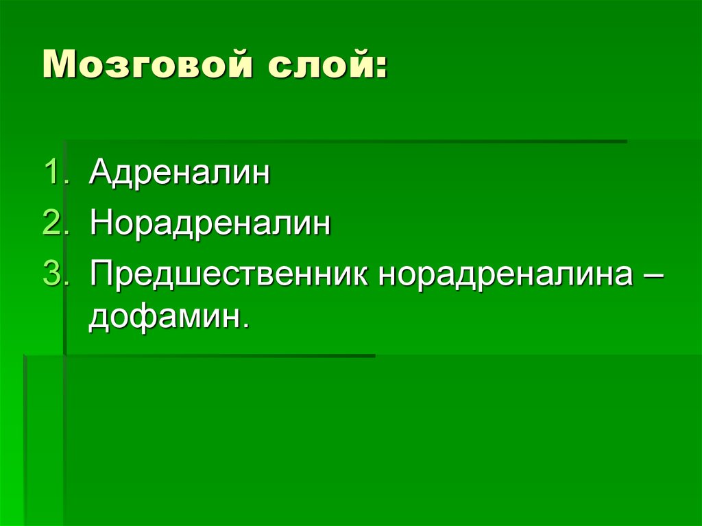 Мозговой слой. Адреналин мозговой слой. Мозговой слой функции. Мозговой слой это 8 класс.