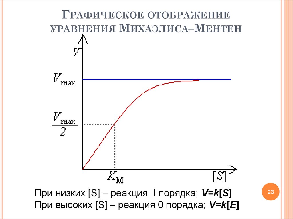 Графическое отображение уравнения Михаэлиса–Ментен