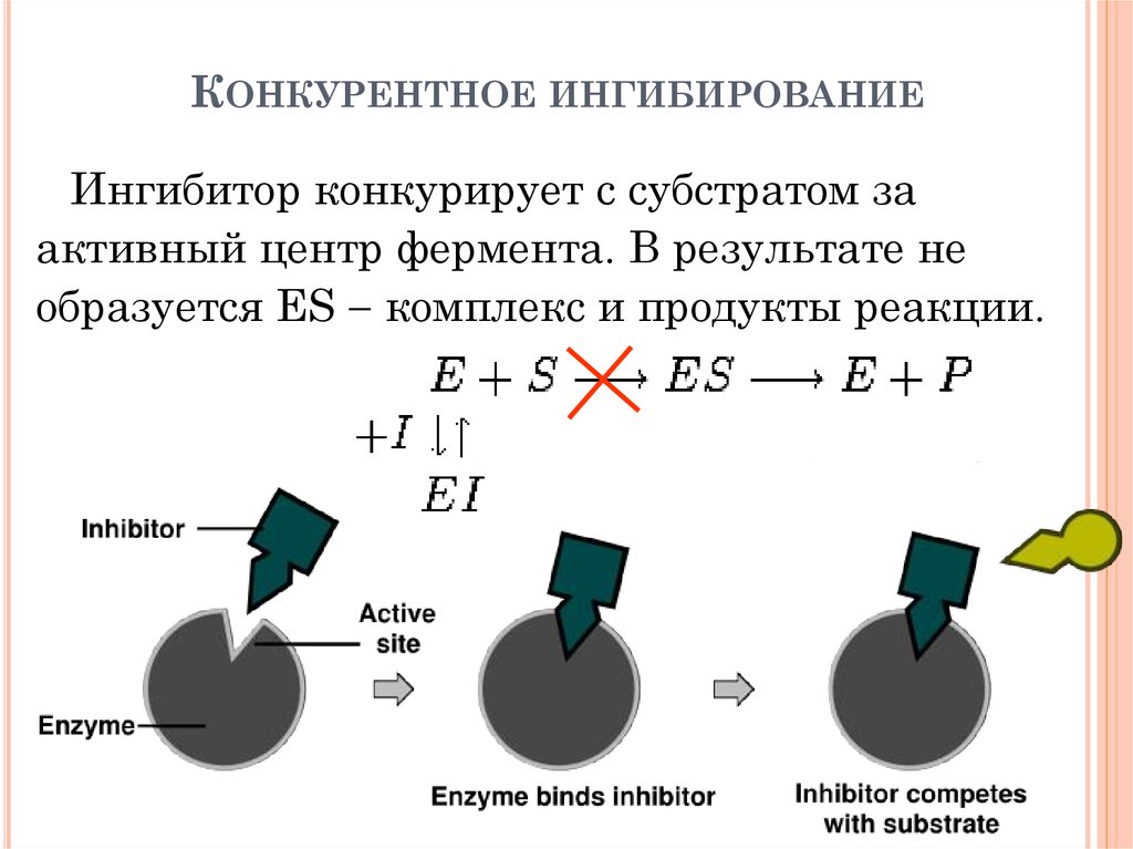 Неконкурентное ингибирование схема