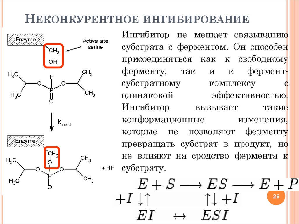 Неконкурентное ингибирование схема