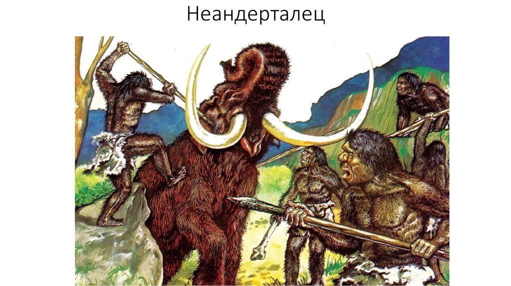 Неандерталец