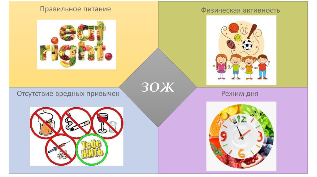 Карта здорового образа жизни. Правильное питание и вредные привычки. Вредные привычки питание физические активности.