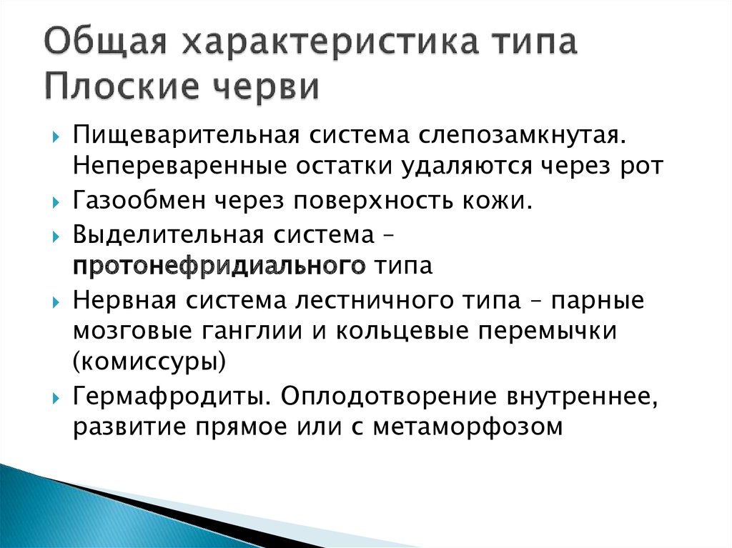 Особенности плоских червей. Общая характеристика плоских червей. Основные характеристики плоских червей. Общая характеристика типа плоских червей. Общая характеристика червей Тип плоские черви.