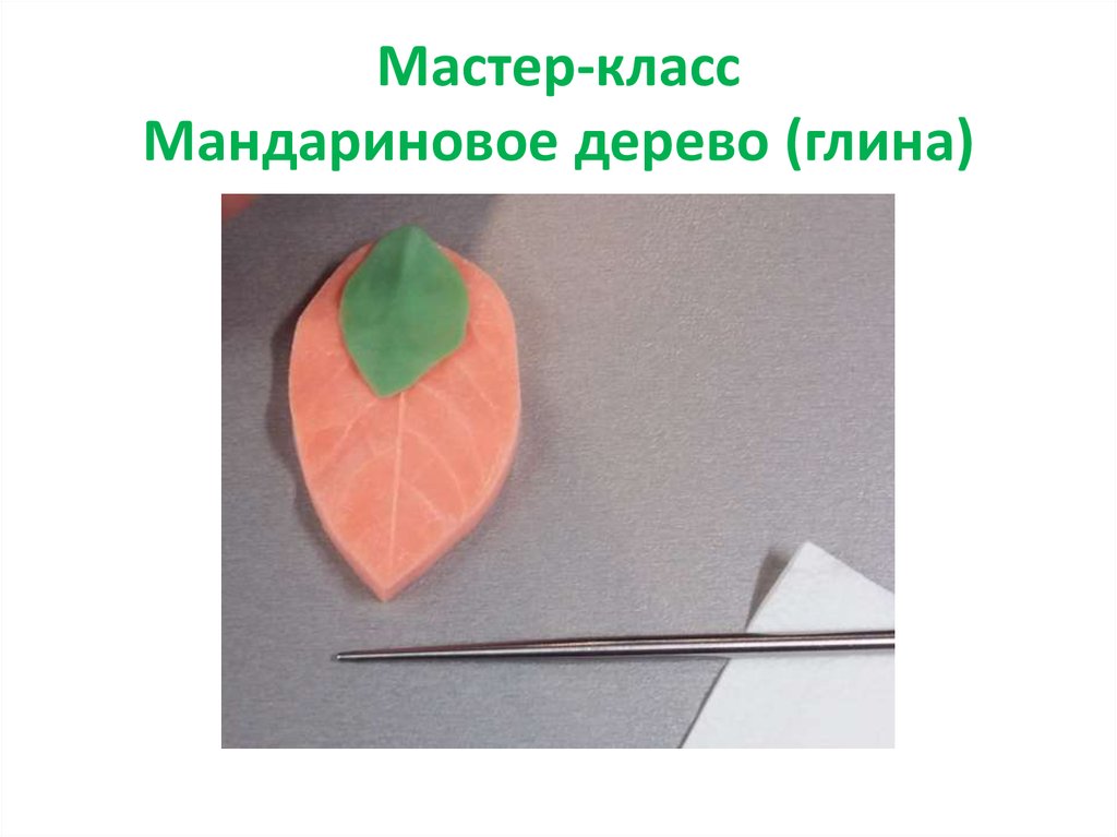 Мастер-класс Мандариновое дерево (глина)