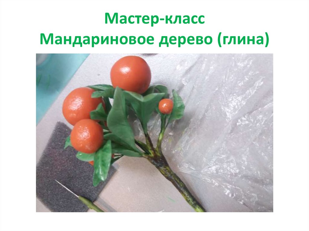 Мастер-класс Мандариновое дерево (глина)