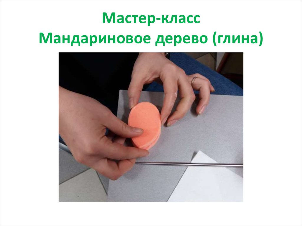 Мастер-класс Мандариновое дерево (глина)