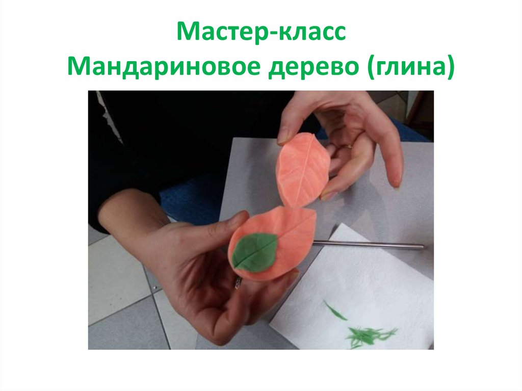 Мастер-класс Мандариновое дерево (глина)