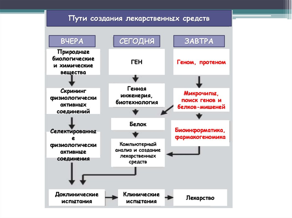 Путем создания. Пути создания лекарственных средств. Путь создания лс. Скрининг генная инженерия. Скрининг биотехнология.