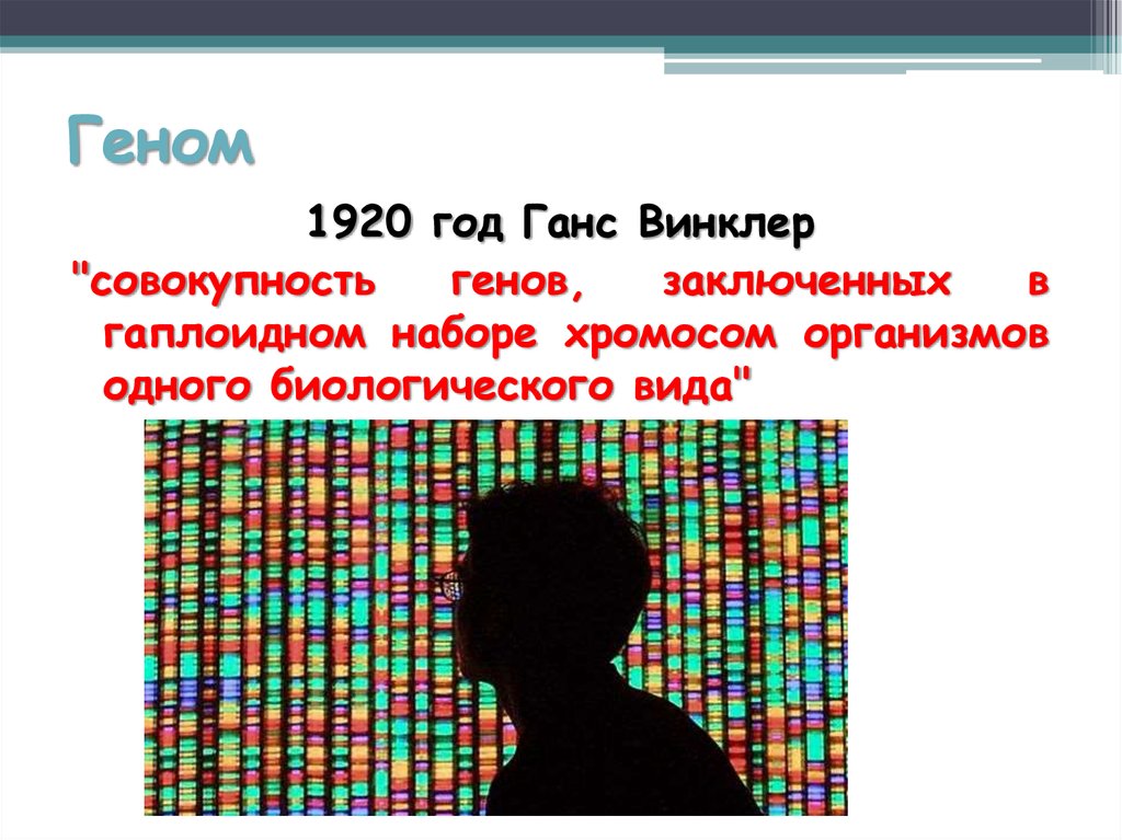 Совокупность всех генов гаплоидного набора хромосом это. Ганс Винклер геном. Геном человека термин. Гансом Винклер открыл геном. Ганс Винклер геном фото.