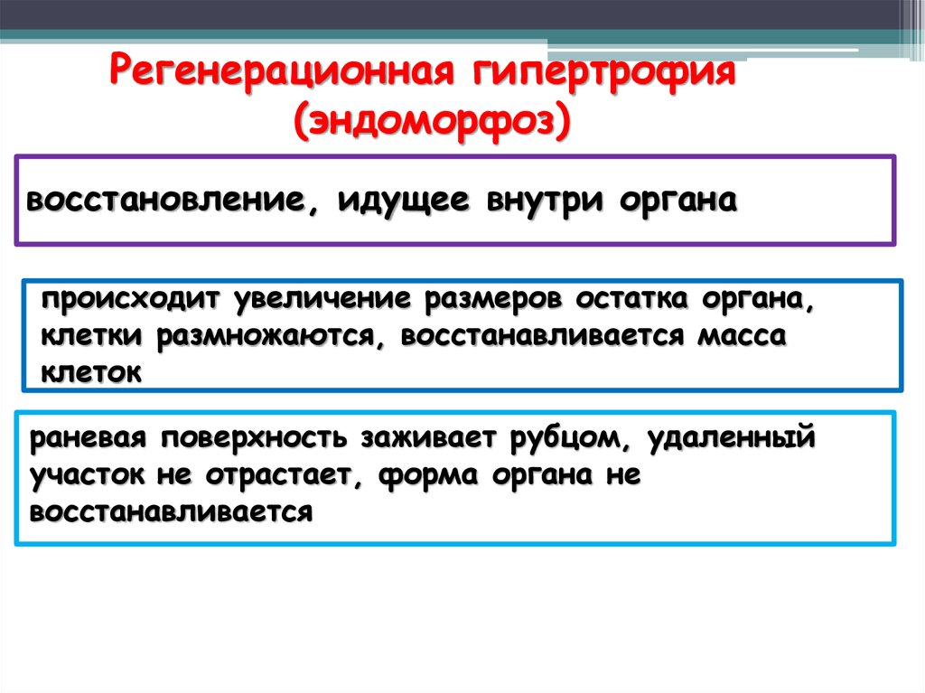 Изучение генома человека презентация