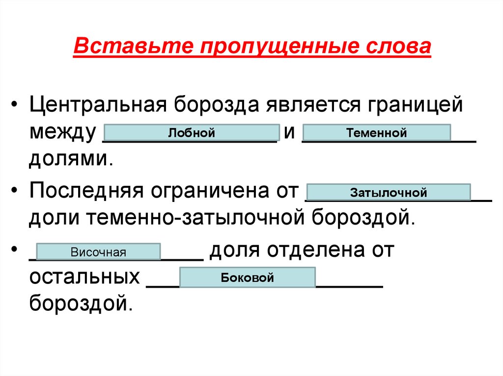 Определение пропущенные слова