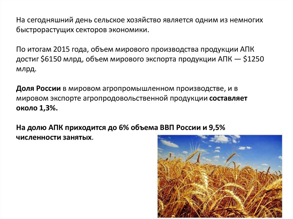 Федеральный проект экспорт продукции апк