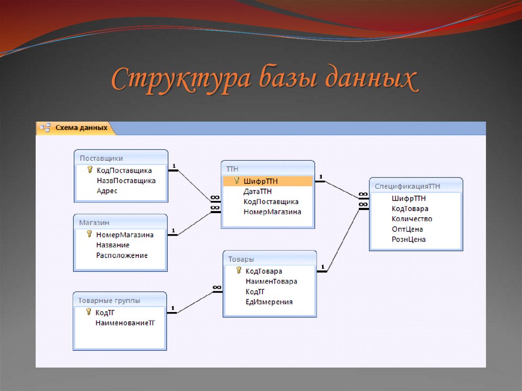 Структура полей базы данных