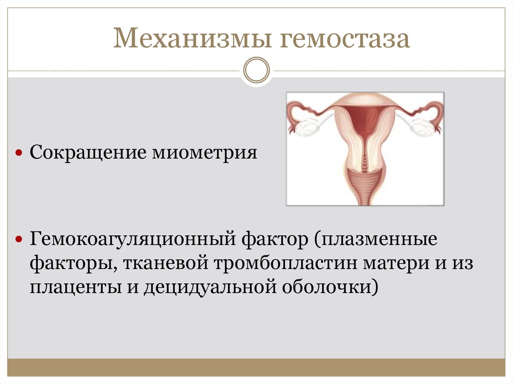 Механизмы гемостаза