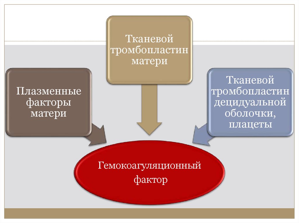 Факторы матери