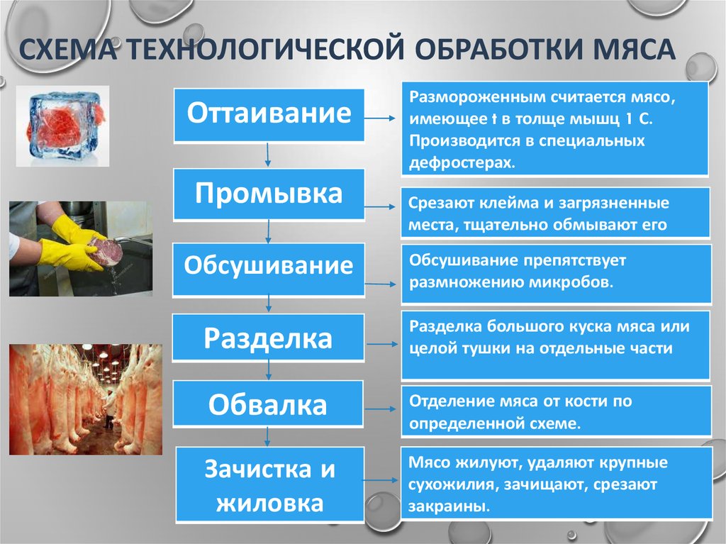 Схема первичной обработки мяса