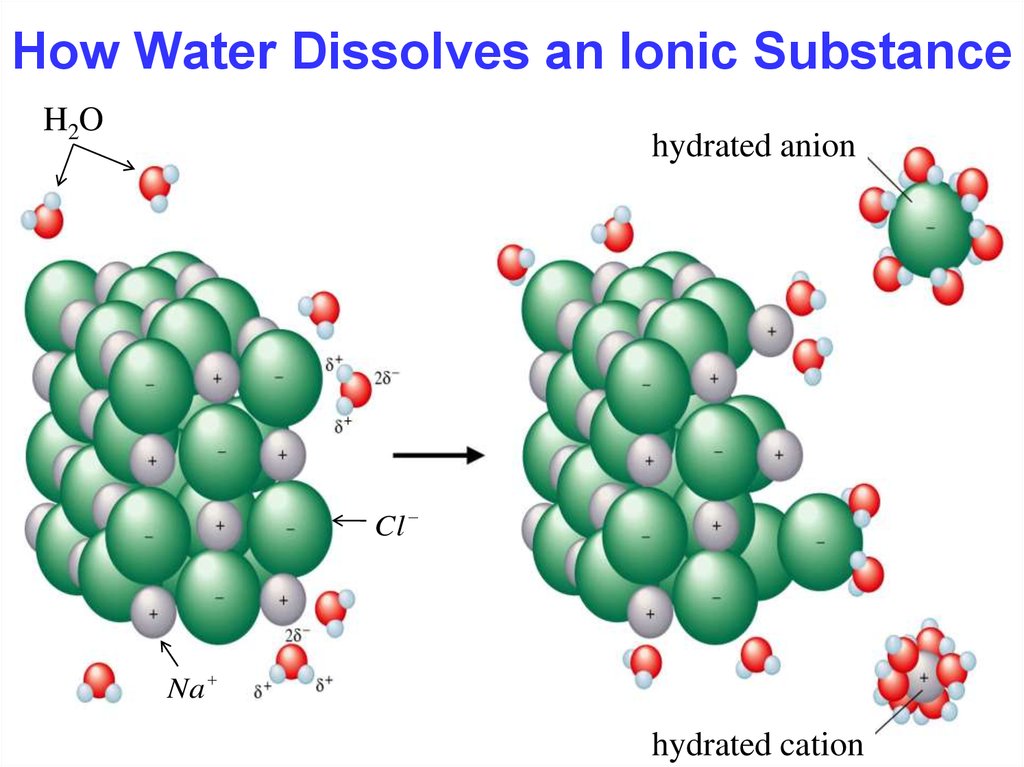 How Water Dissolves an Ionic Substance