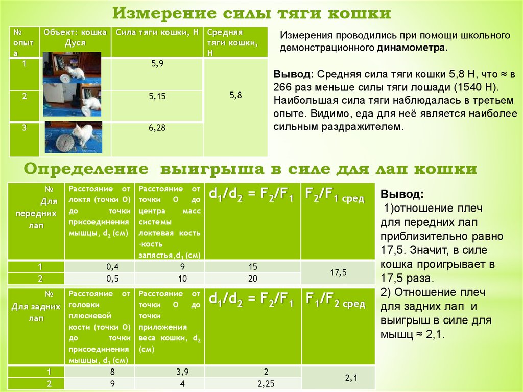 Измерение силы тяги кошки