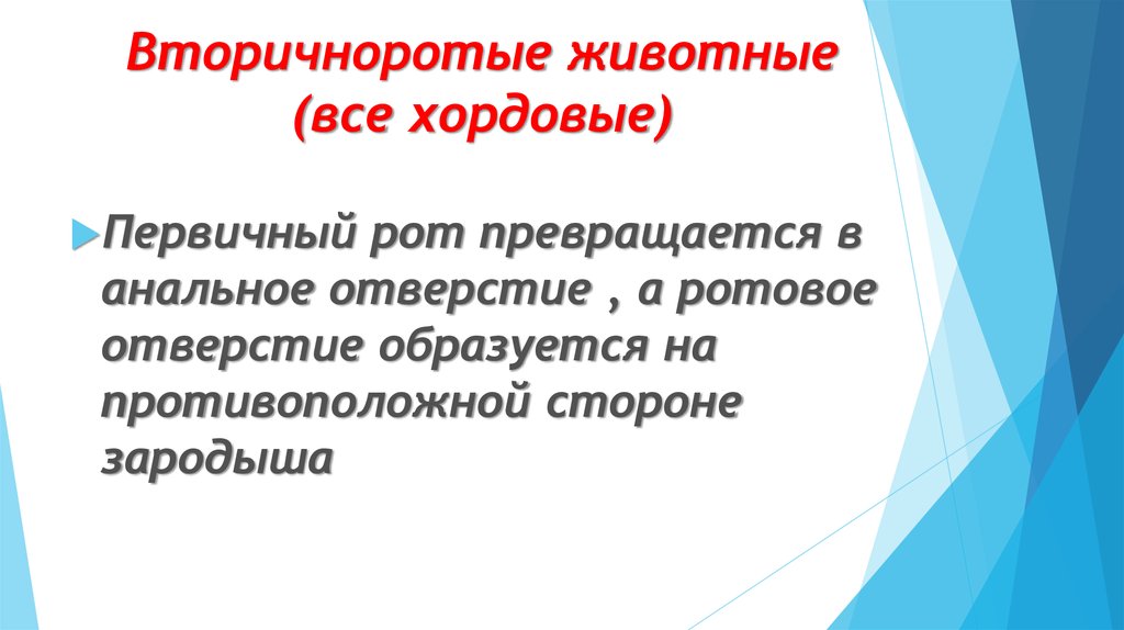 Вторичноротая. Вторичноротые. Вторичноротые животные. Вторичноротые систематика. Вторичнополые.