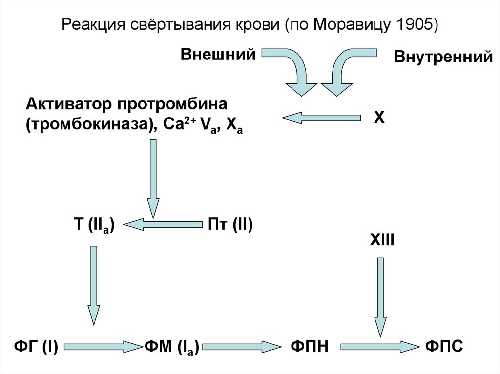 Реакция активации. Классическая схема свертывания крови по Моравицу. Свертывание крови по Моравицу. Кальций активатор свертывания. Схема реакции свертывания крови.