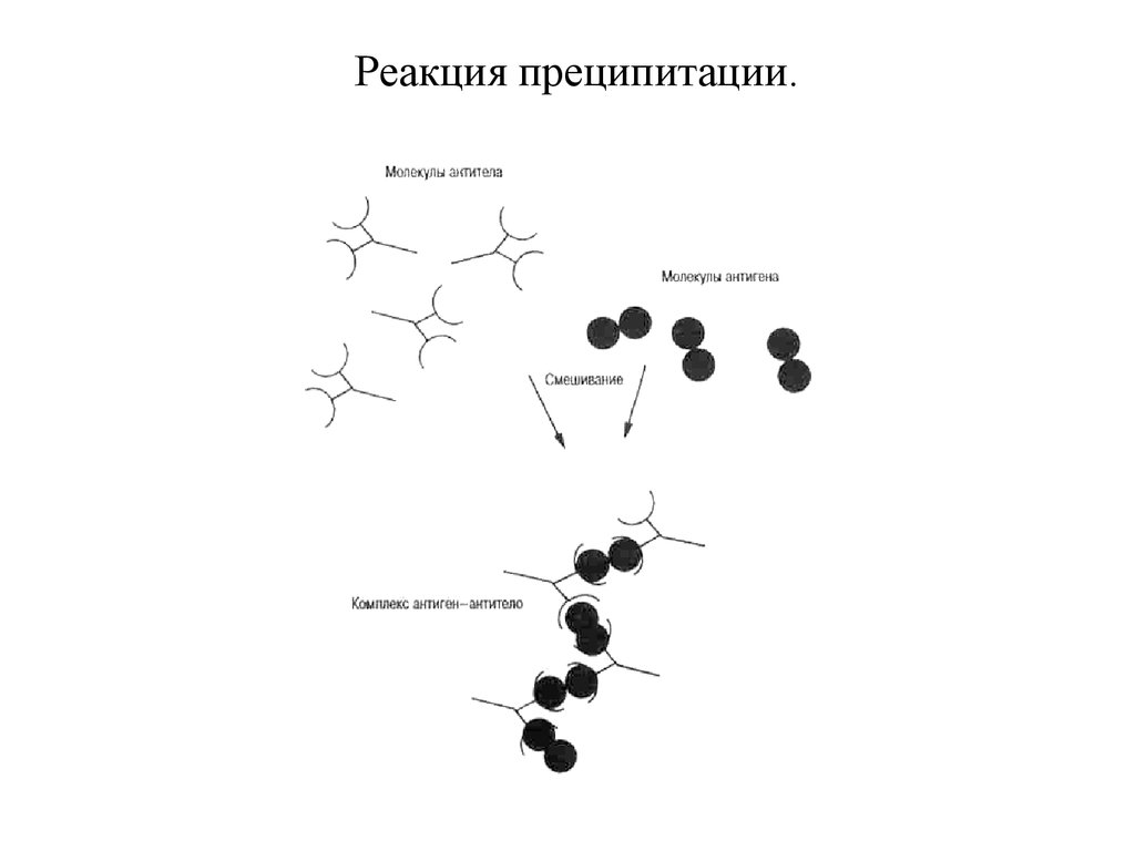 Реакция преципитации картинки