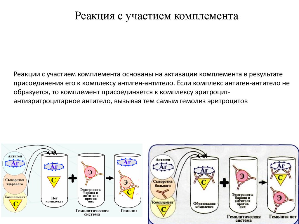 Схема постановки реакции связывания комплемента рск