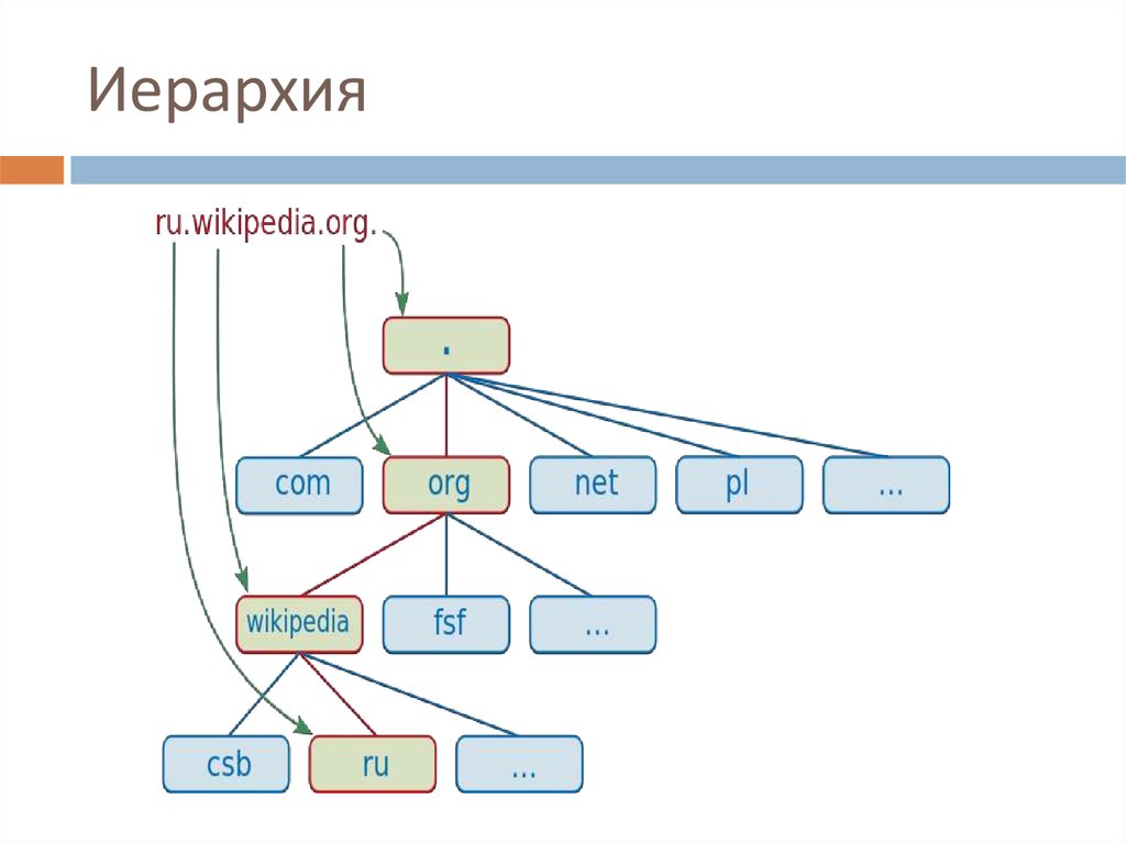 Иерархия. Иерархия связей. Иерархия на корабле. Иерархия метро. Иерархия телефонов.