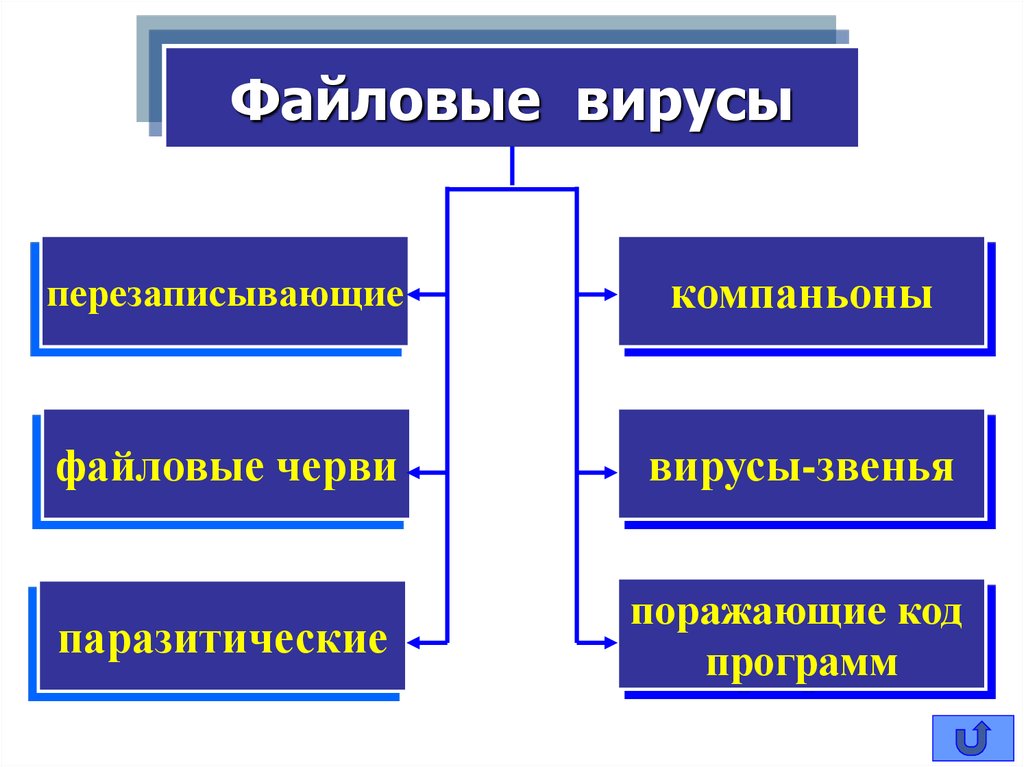 Файловые вирусы картинки