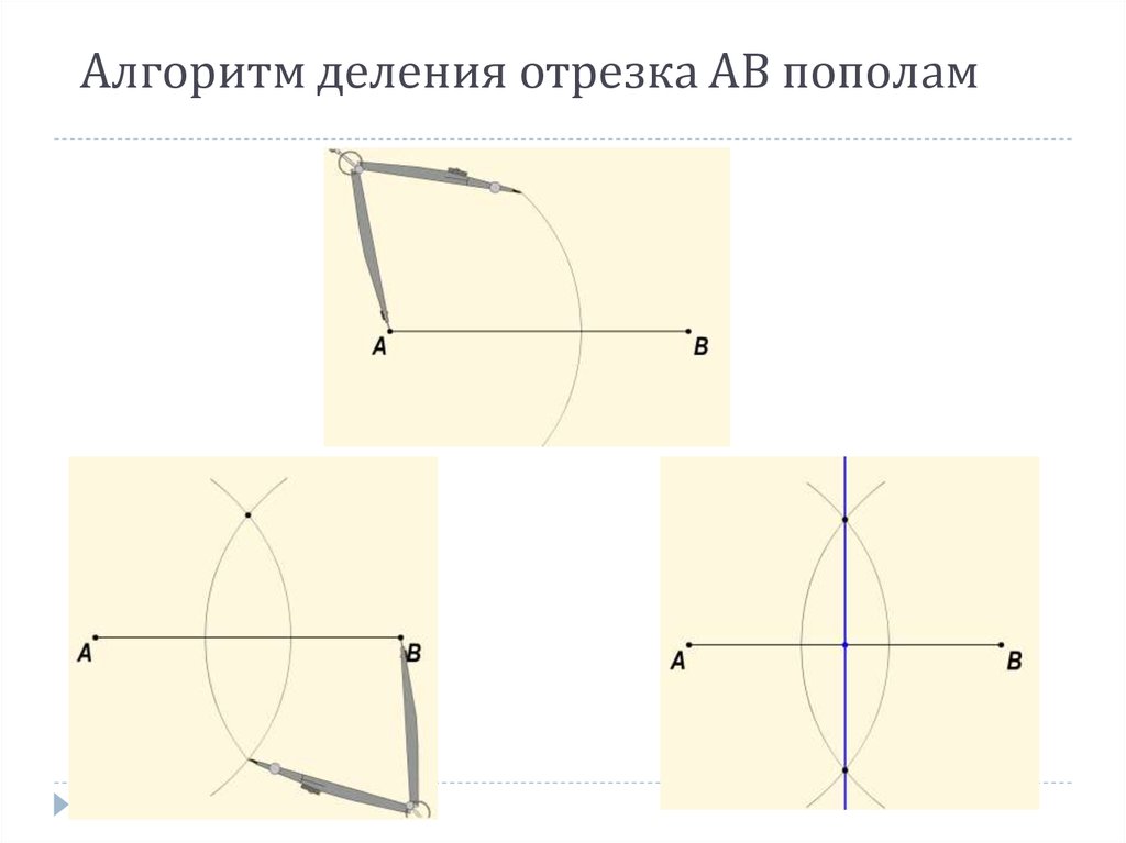 Отрезок пополам. Деление отрезка пополам. Алгоритм деления отрезка АВ пополам. Разделите данный отрезок пополам. Алгоритм построения деления отрезка пополам.