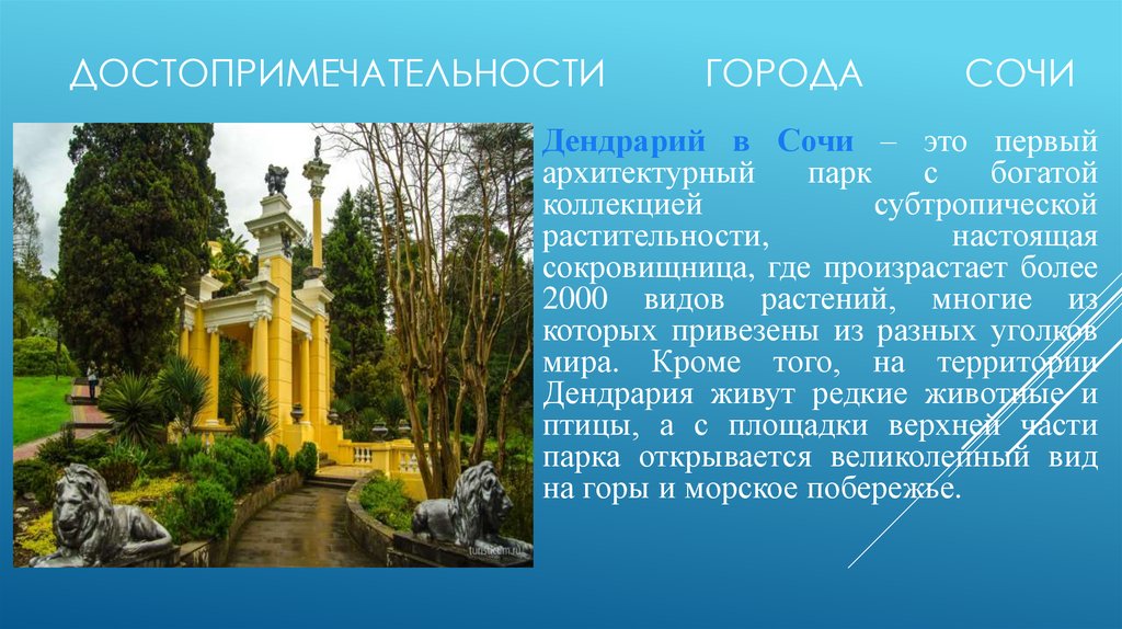 Сочи история города презентация