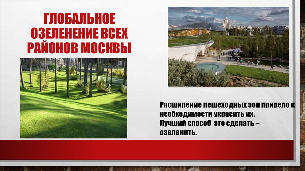 ГЛОБАЛЬНОЕ ОЗЕЛЕНЕНИЕ ВСЕХ РАЙОНОВ МОСКВЫ