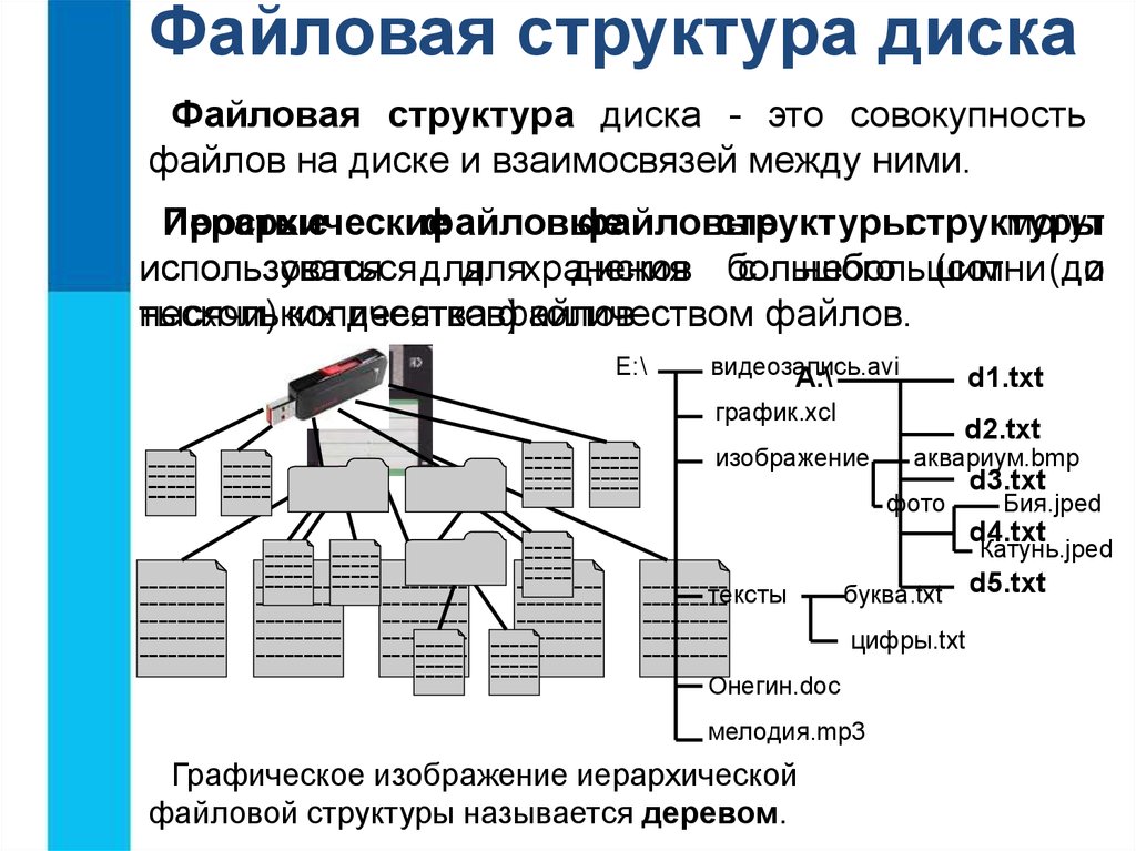 Файловая структура диска. Дерево файловой структуры диска. Совокупность файлов на диске и взаимосвязей между ними это. Файловая структура диска d.