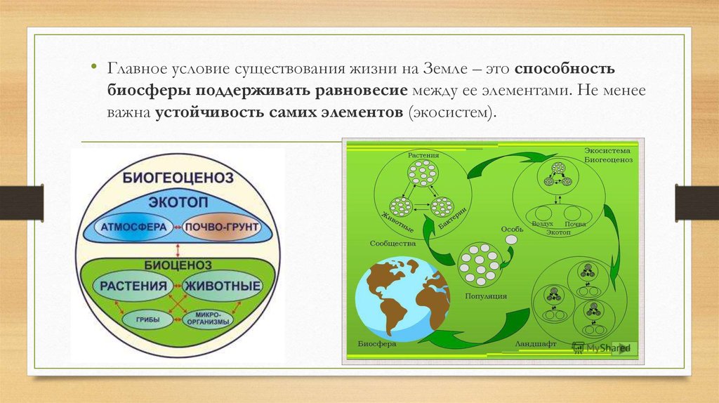 Важнейшим условием жизни. Условия существования жизни. Условия существования жизни на земле. Условия существования животных. Условия необходимые для существования жизни на земле.