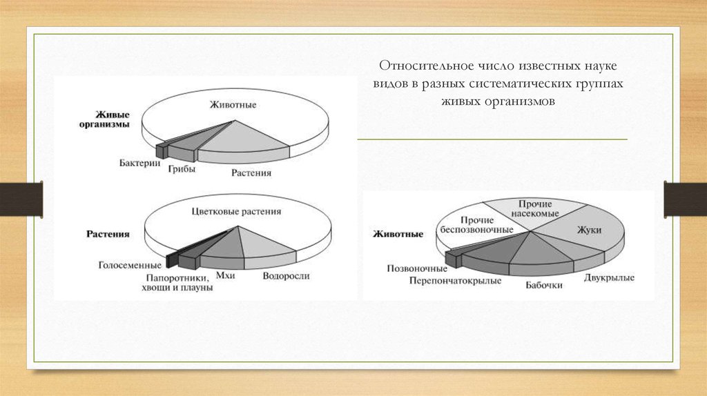 Сколькими видами представлено. Число видов организмов. Группа организмов и число видов. Количества видов разных систематических групп. Диаграмма соотношения видов разных систематических групп.