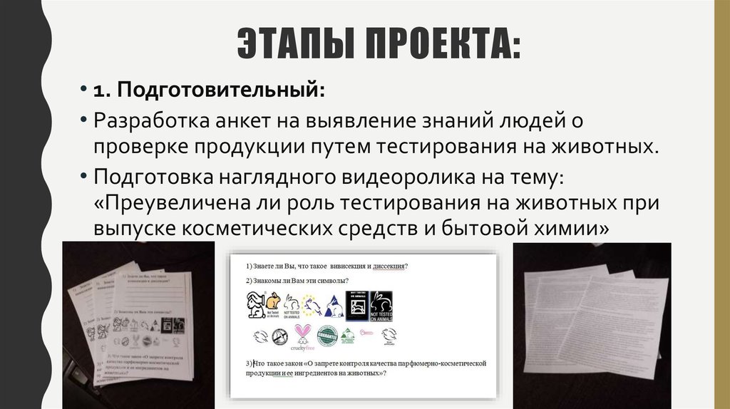 Этапы проекта: