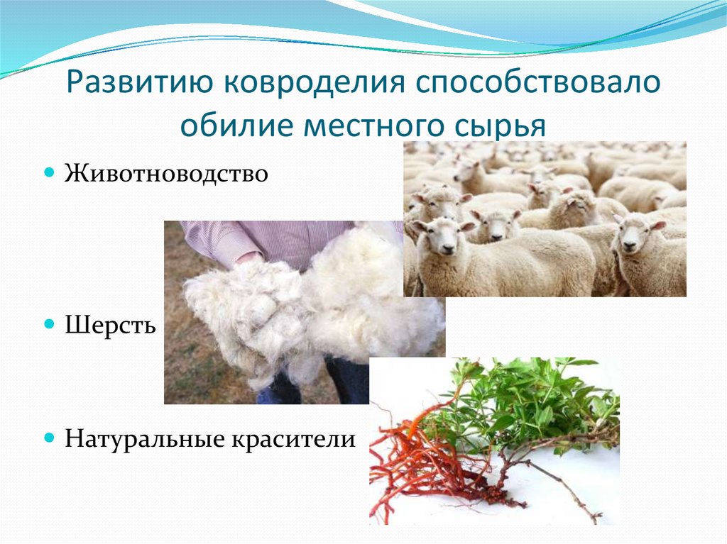 Развитию ковроделия способствовало обилие местного сырья