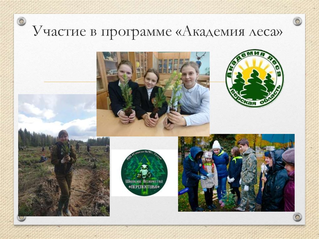 Участие в программе «Академия леса»