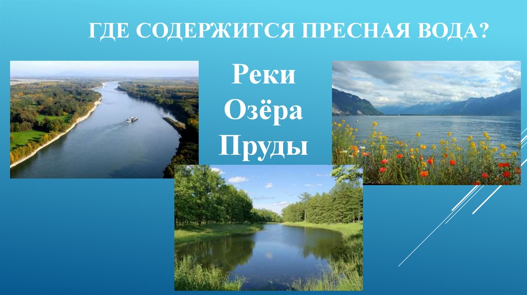 Почему вода в реке пресная. Пресные реки. Пресные реки и озера. Пресные реки России. Где содержится вода.